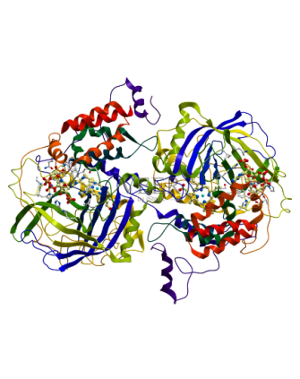 Glutamine transaminase